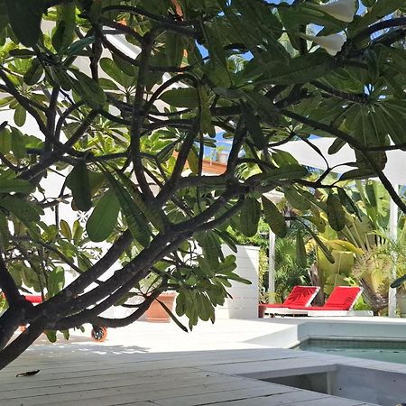 Amanda'S Place Green Studio - Pool And Tropical Garden Кайе Колкер Екстериор снимка