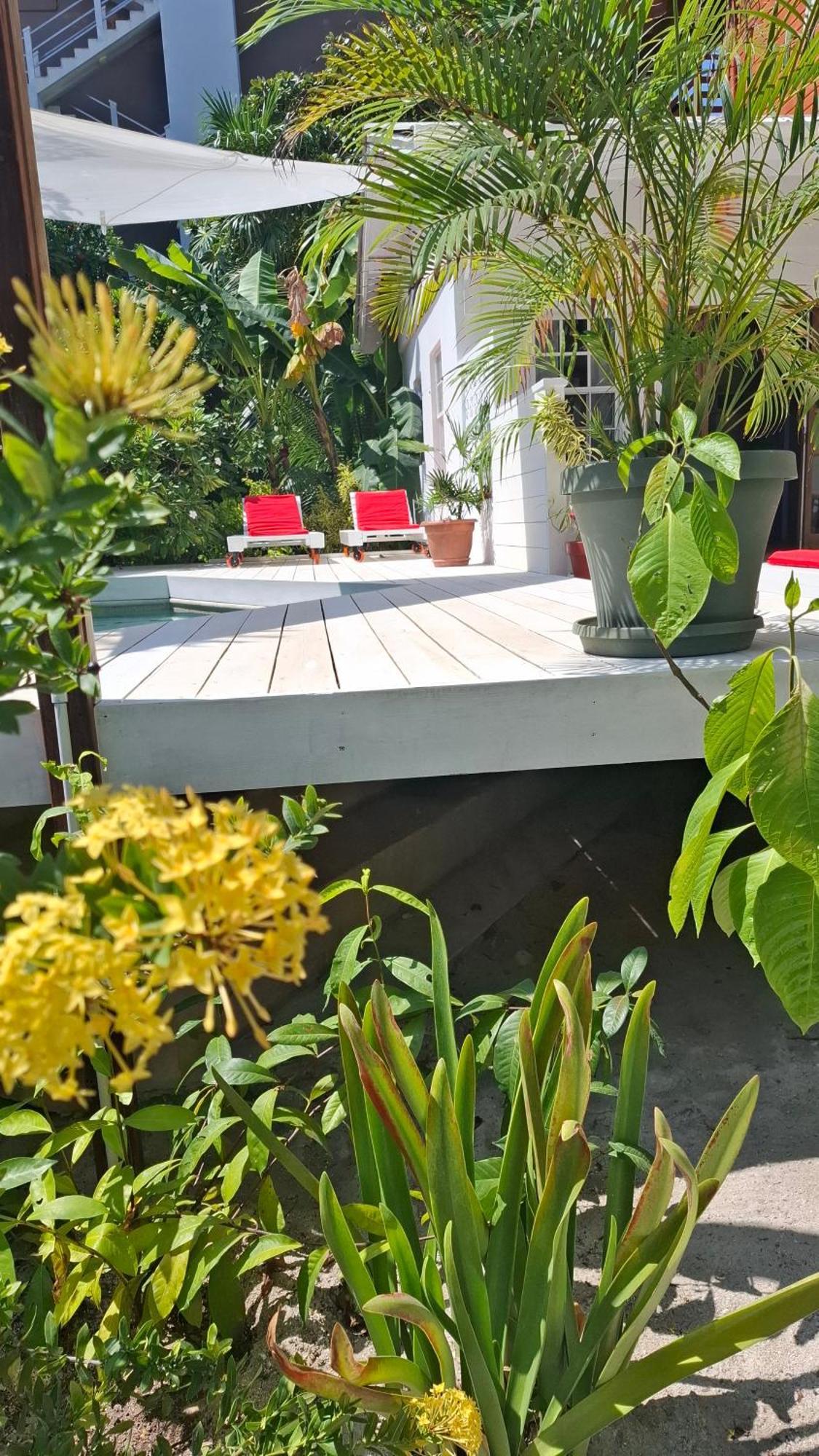 Amanda'S Place Green Studio - Pool And Tropical Garden Кайе Колкер Екстериор снимка